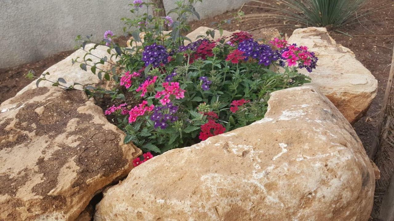 Linda Casa Vacanze Felline Dış mekan fotoğraf
